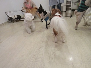 IMG_0942.jpg