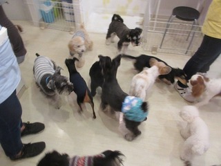 IMG_0947.jpg