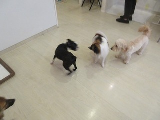 IMG_0990.jpg