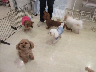 IMG_0991.jpg