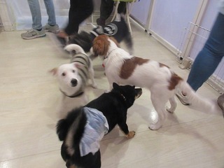 IMG_1033.jpg