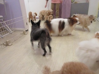 IMG_1040.jpg