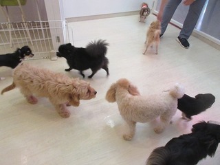 IMG_1073.jpg