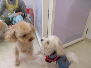 IMG_1122.jpg