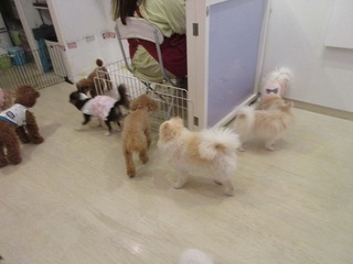 IMG_1124.jpg