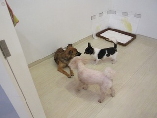 IMG_1134.jpg