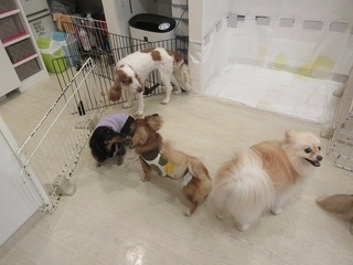 IMG_1177.jpg