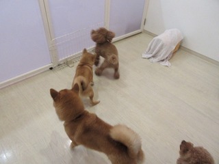 IMG_1179.jpg