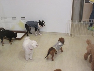 IMG_1232.jpg