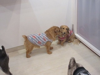 IMG_1248.jpg