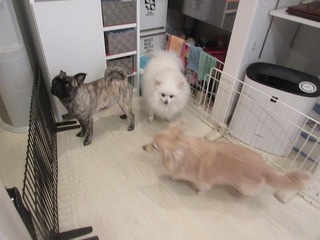 IMG_1264.jpg