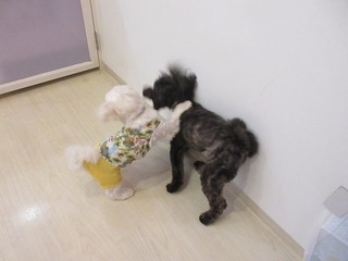 IMG_1270.jpg
