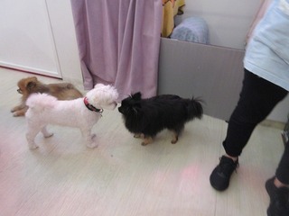 IMG_1273.jpg