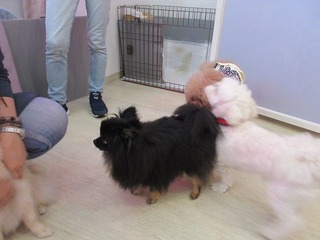 IMG_1281.jpg