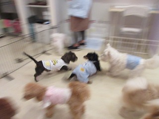 IMG_1285.jpg