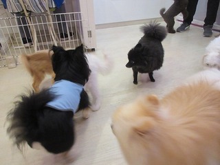 IMG_1289.jpg