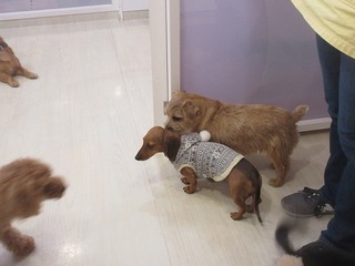 IMG_1308.jpg