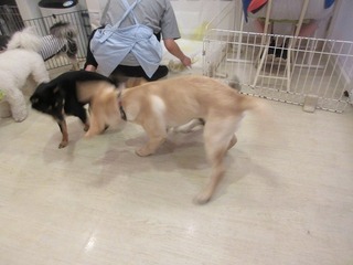 IMG_1321.jpg