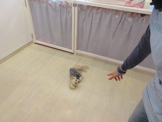 IMG_1326.jpg