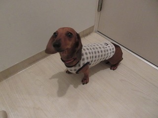 IMG_1364.jpg