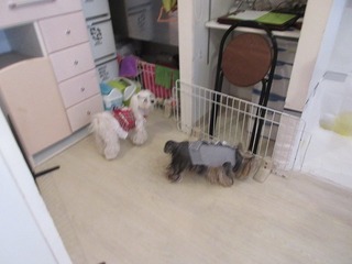 IMG_1377.jpg
