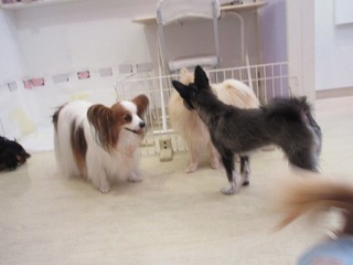IMG_1413.jpg