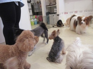 IMG_1420.jpg