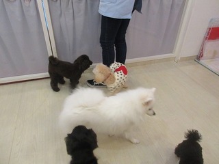 IMG_1420.jpg
