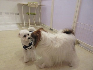 IMG_1423.jpg