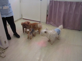 IMG_1431.jpg