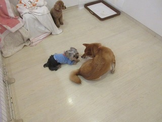 IMG_1436.jpg
