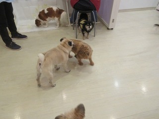 IMG_1438.jpg