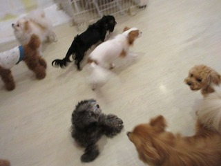 IMG_1443.jpg