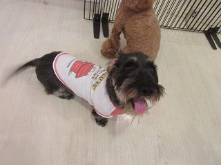 IMG_1499.jpg