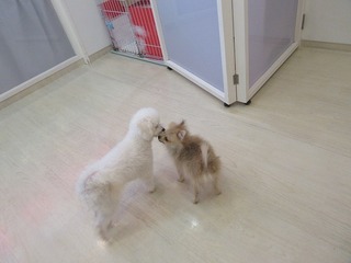 IMG_1519.jpg