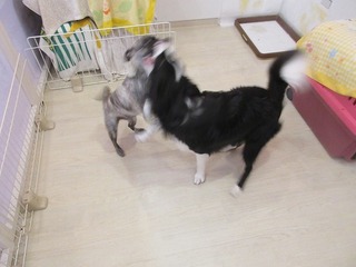 IMG_1545.jpg