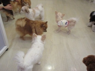 IMG_1549.jpg
