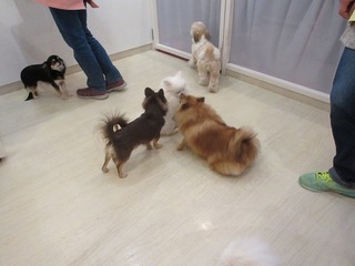 IMG_1568.jpg
