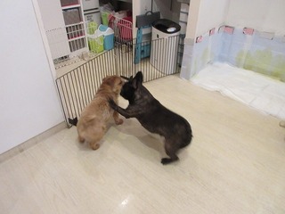 IMG_1629.jpg