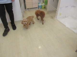 IMG_1633.jpg