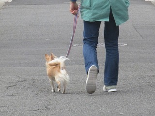 IMG_1667.jpg