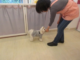 IMG_1675.jpg