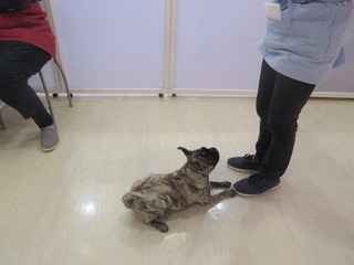 IMG_1691.jpg