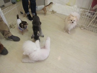 IMG_1699.jpg