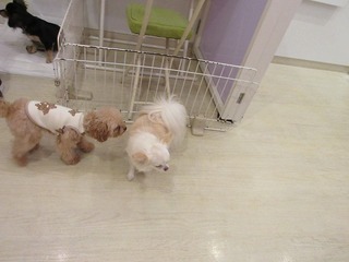 IMG_1703.jpg
