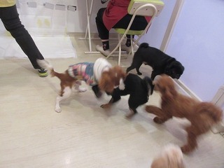 IMG_1714.jpg