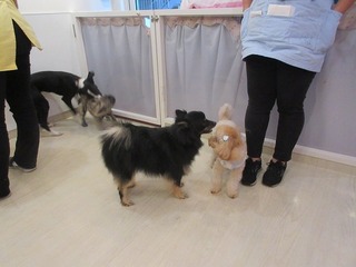 IMG_1728.jpg