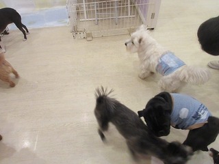 IMG_1731.jpg