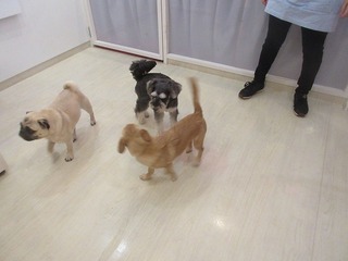 IMG_1731.jpg