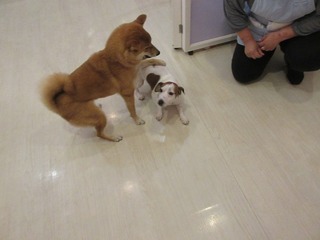 IMG_1737.jpg